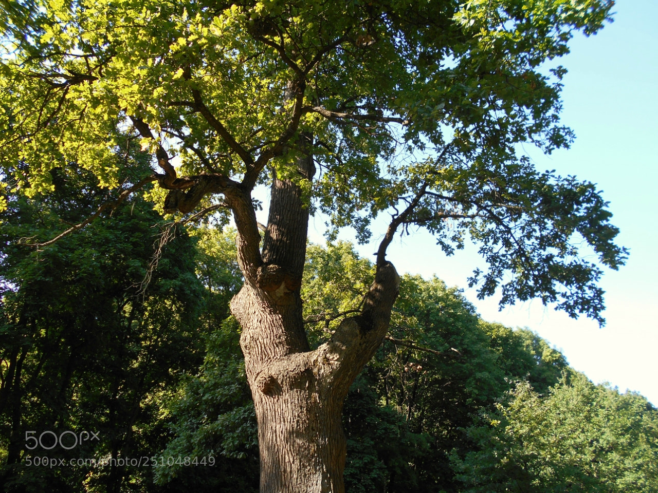 Nikon Coolpix A100 sample photo. Eaddorig photography