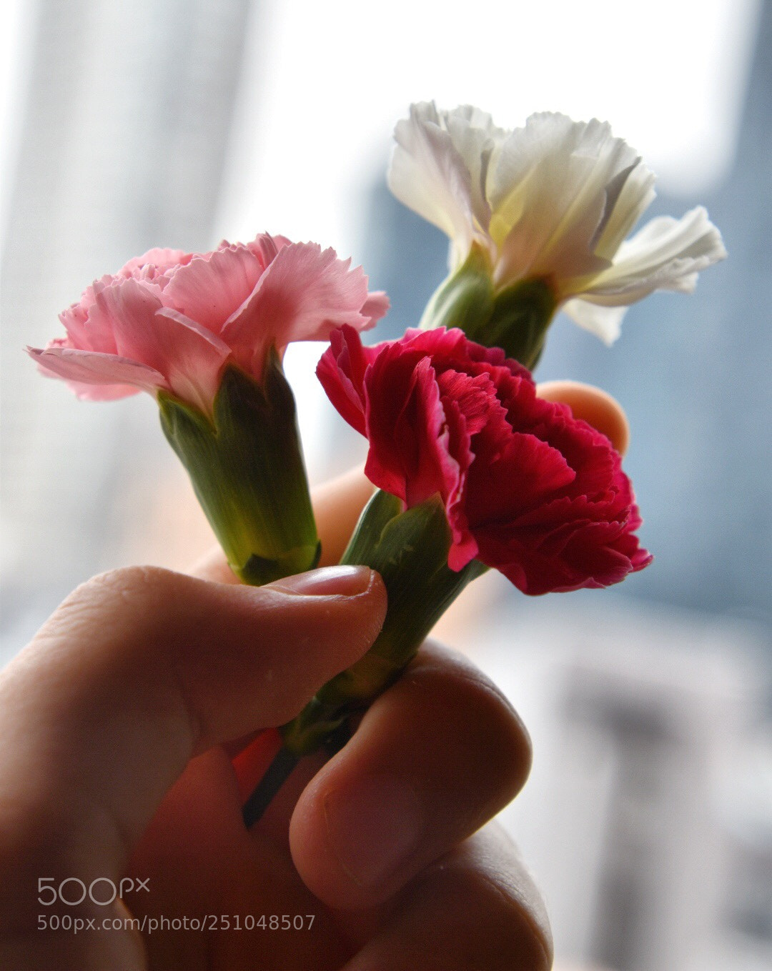Nikon D5600 sample photo. Three sisters photography
