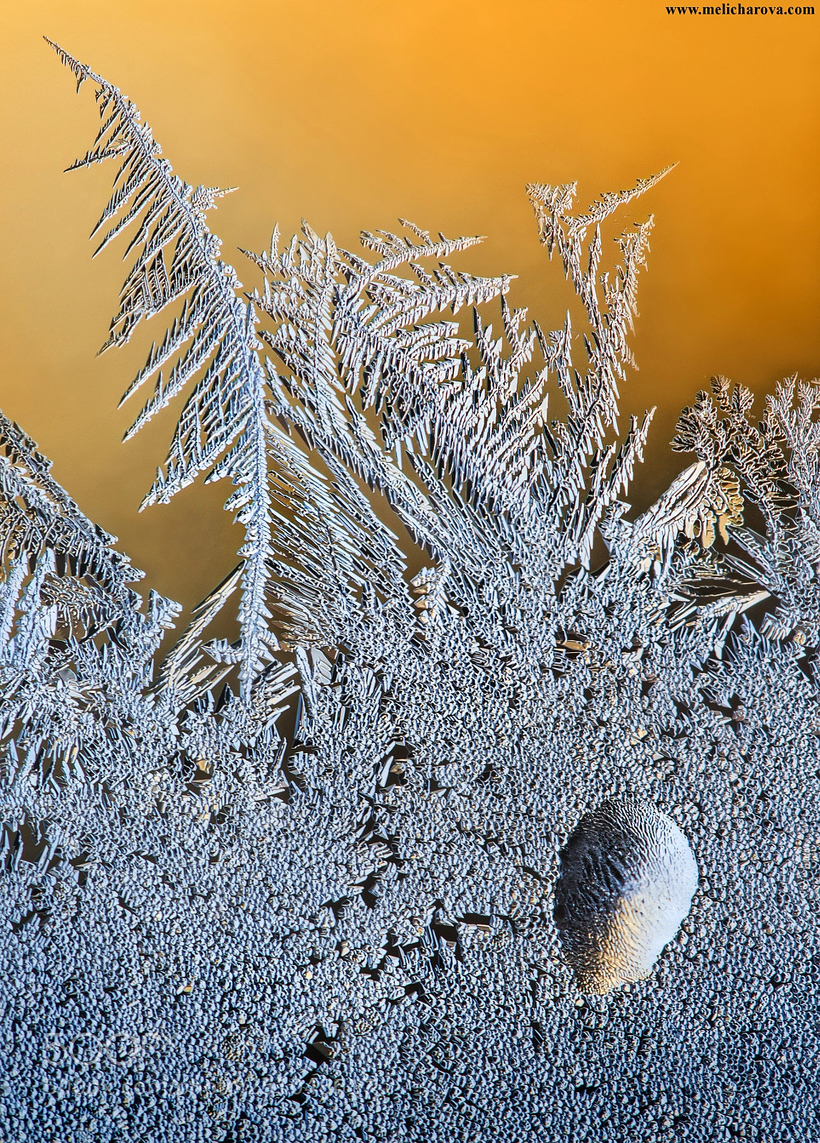 Canon EOS 60D sample photo. Ice painting 2 photography