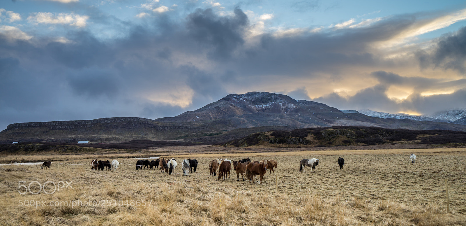 Sony a7R sample photo. Unicorns of iceland photography
