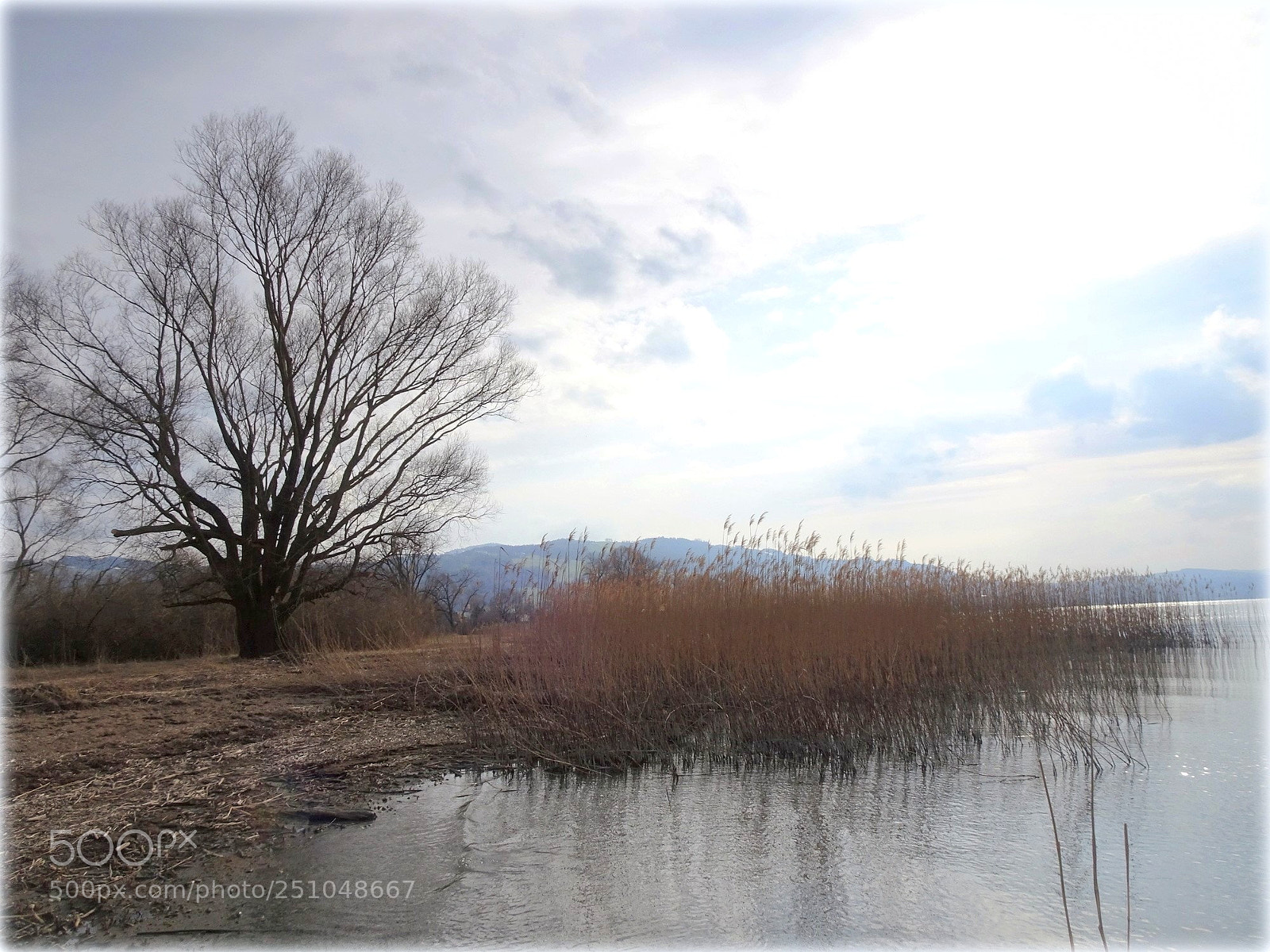 Sony Cyber-shot DSC-HX80 sample photo. "at the lake;;"" photography