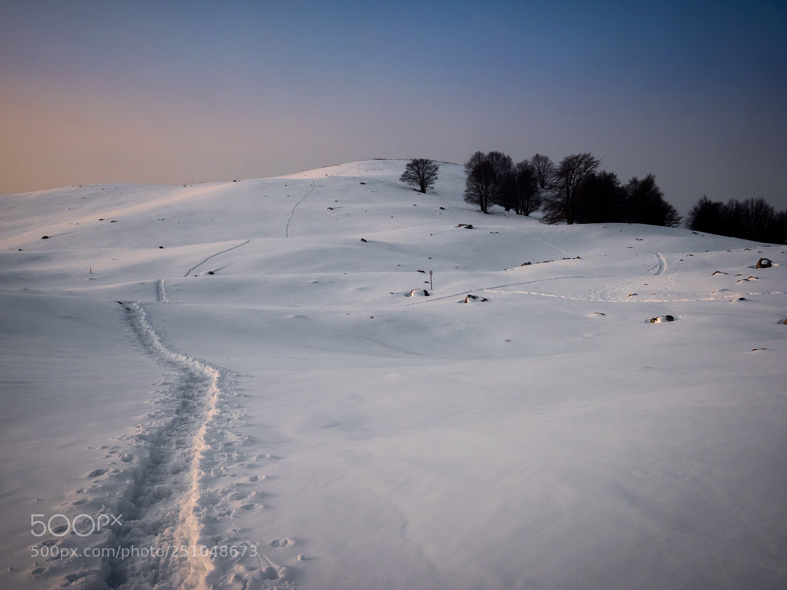Nikon D810 sample photo. On the path photography