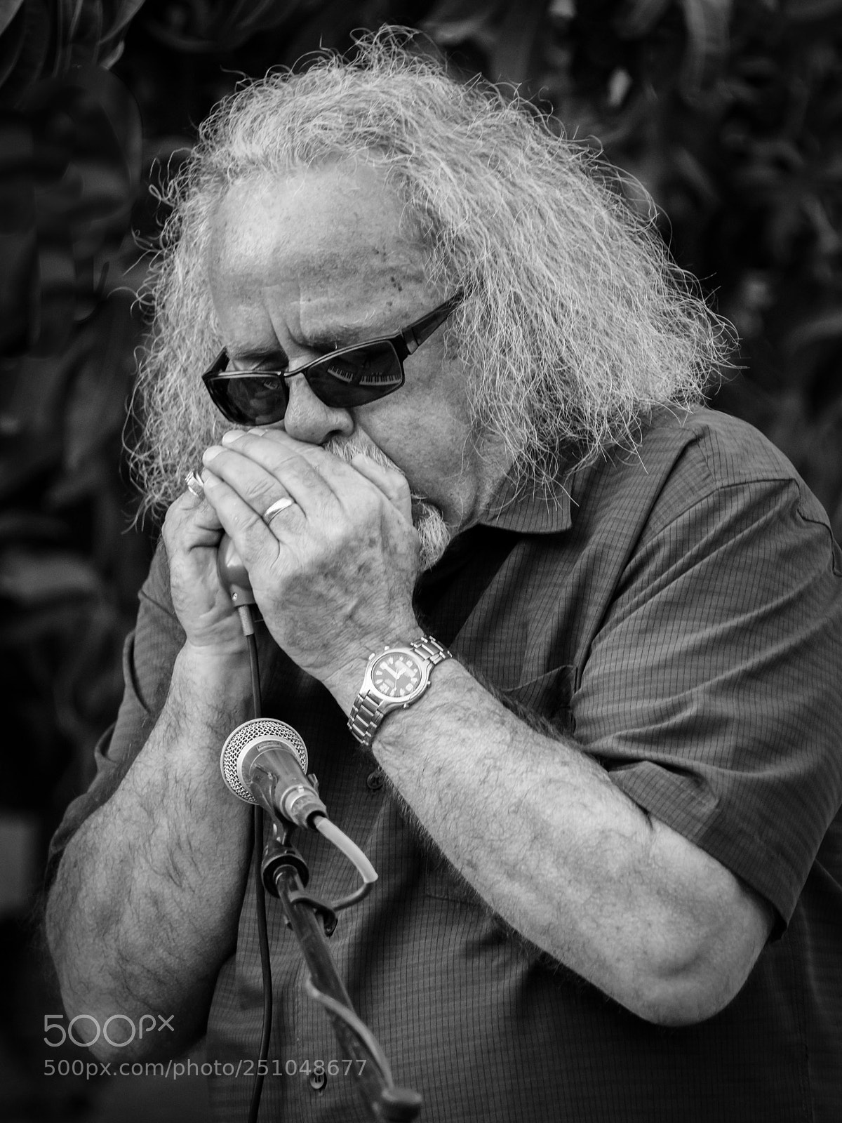Nikon D850 sample photo. Harmonica photography