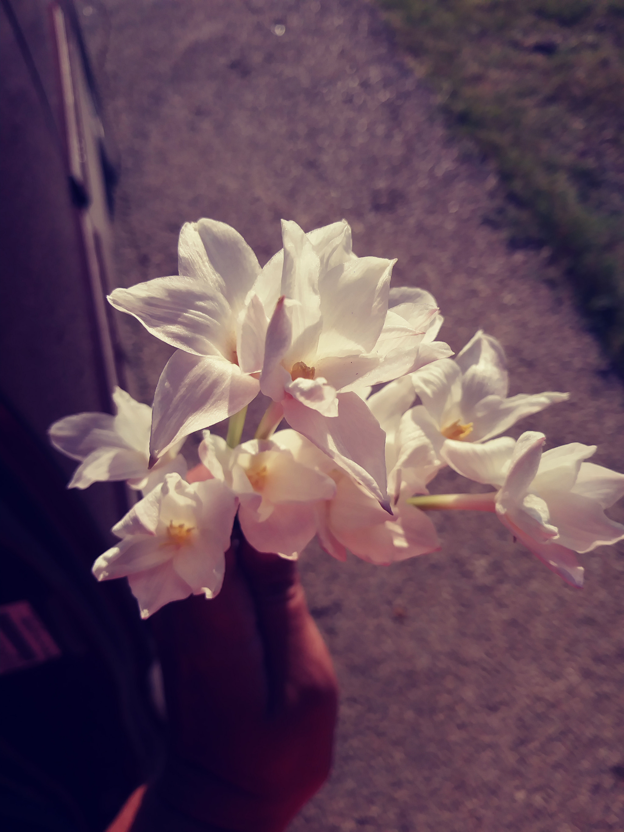 LG ARISTO sample photo