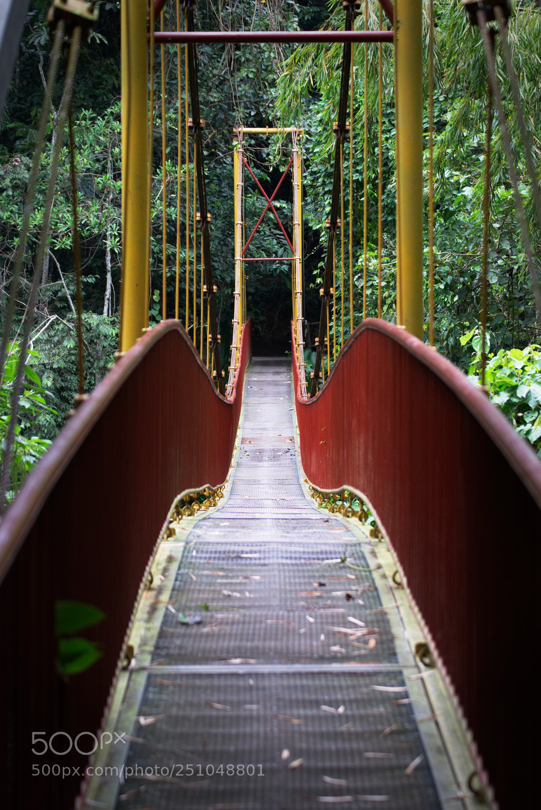Nikon D3300 sample photo. Just the bridge photography