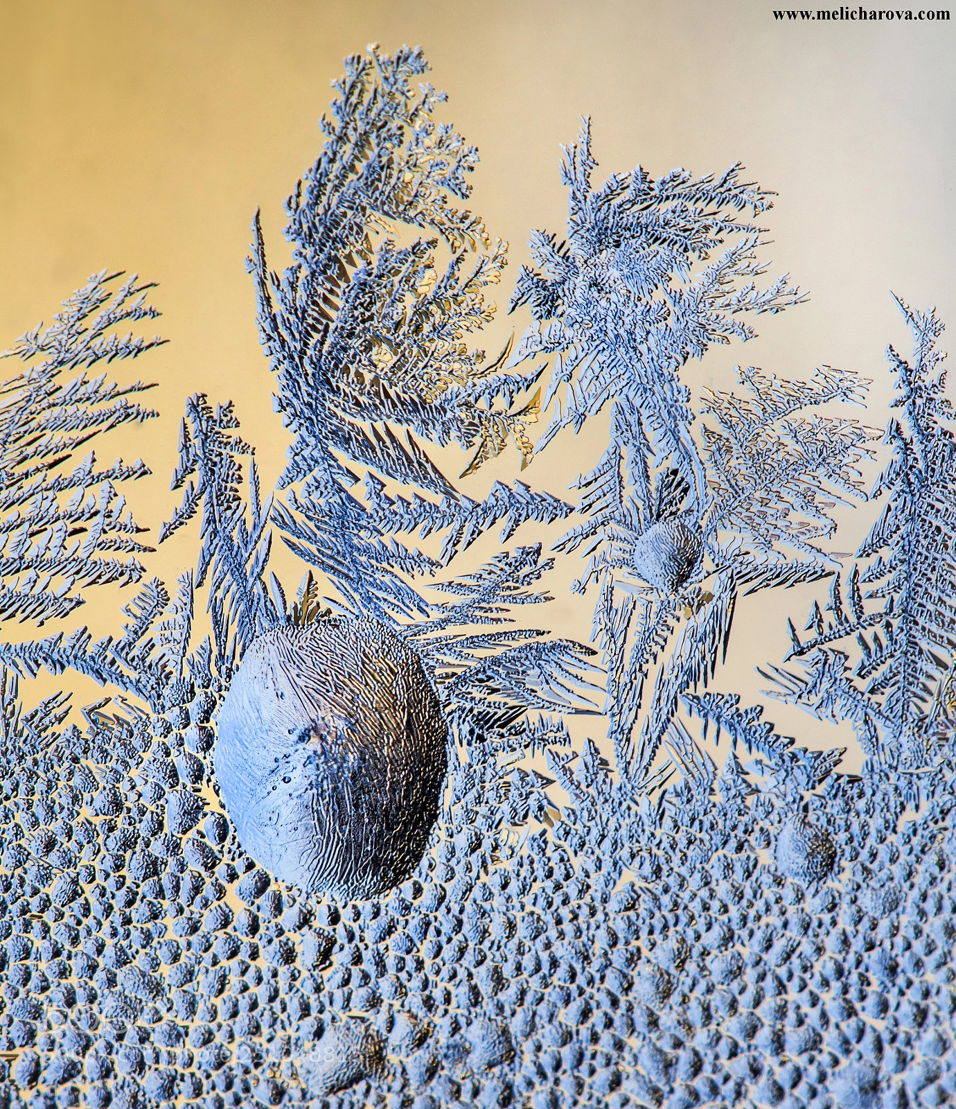 Canon EOS 60D sample photo. Ice painting 3 photography
