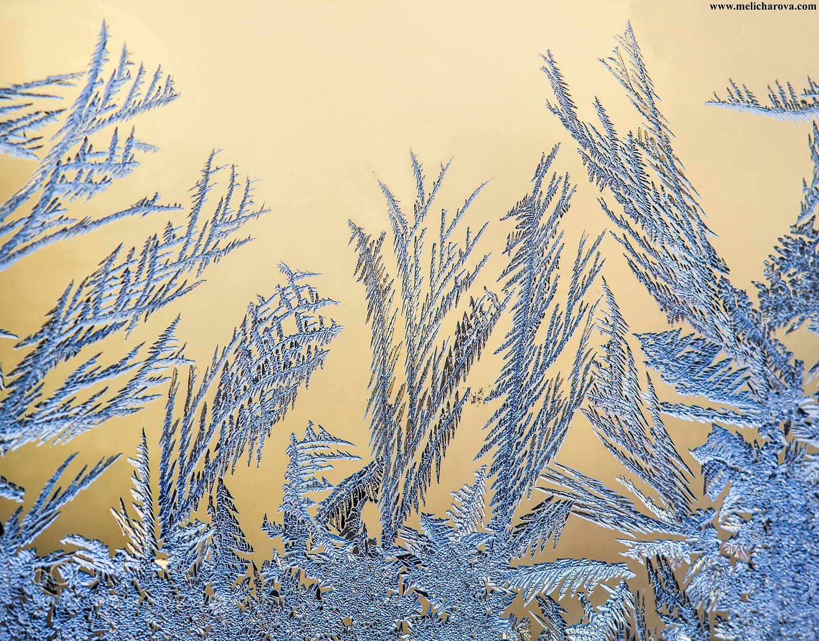 Canon EOS 60D sample photo. Ice painting 4 photography