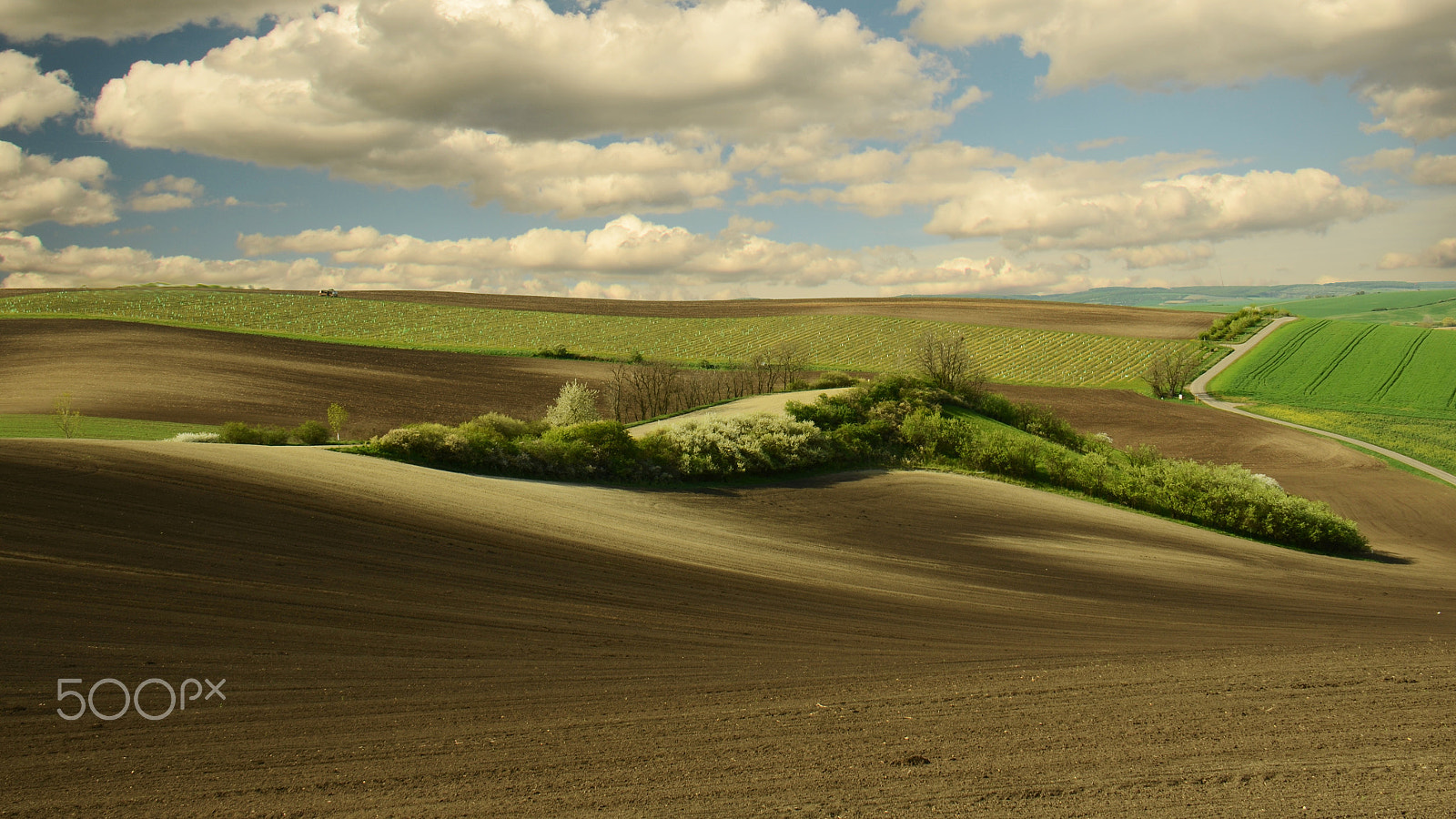 Nikon D7000 sample photo. Hovorany meadows, spring photography