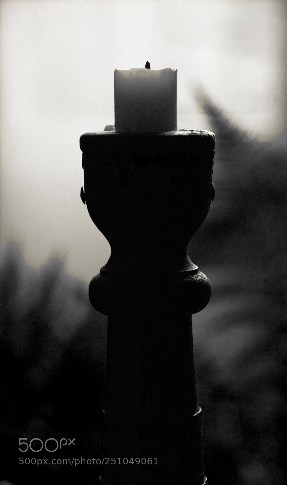 Nikon D7100 sample photo. Backlight n2147.1.1.33 photography