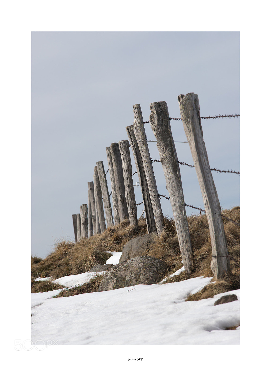 Canon EOS 6D Mark II sample photo. Fence photography
