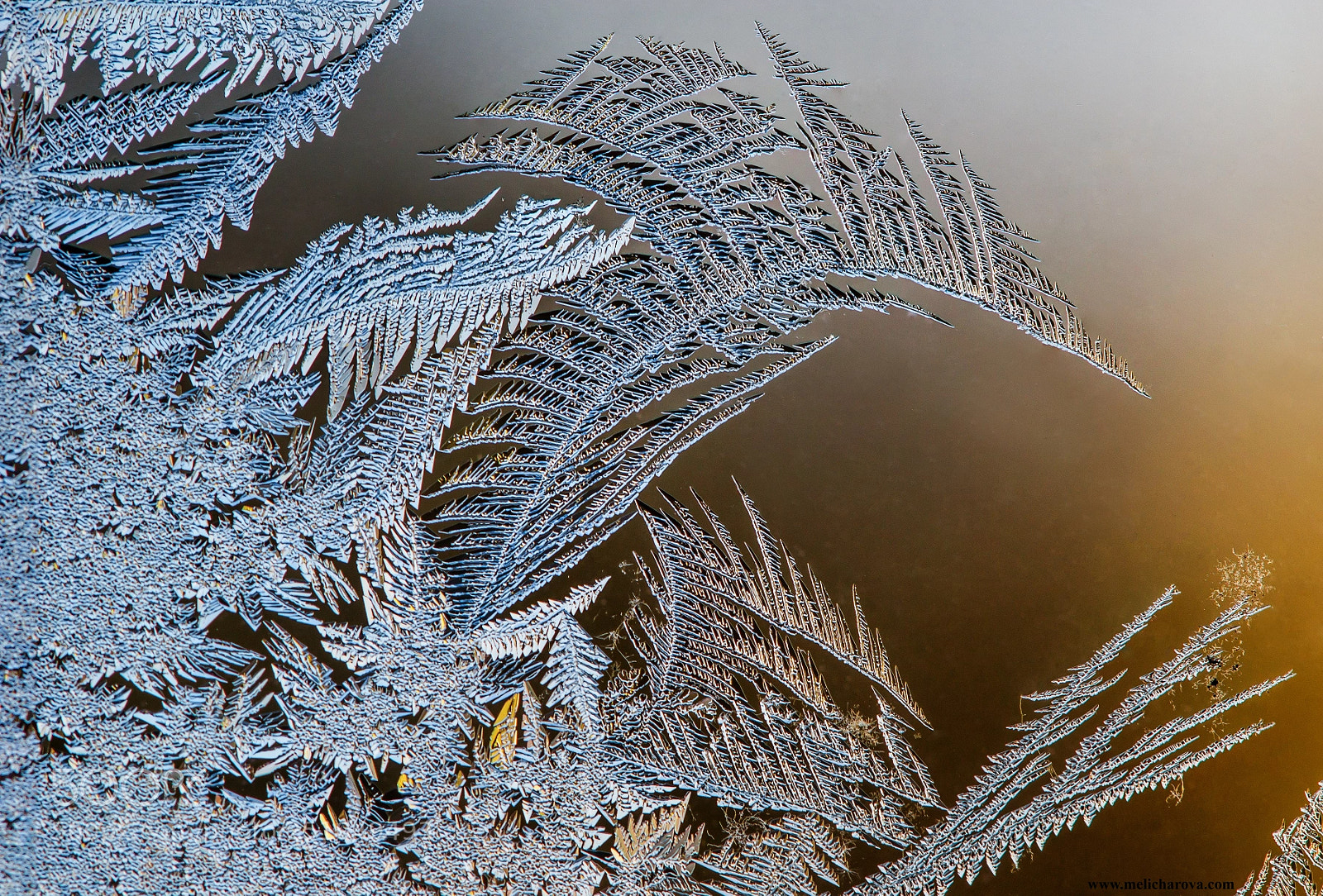 Canon EOS 60D sample photo. Ice painting 6 photography