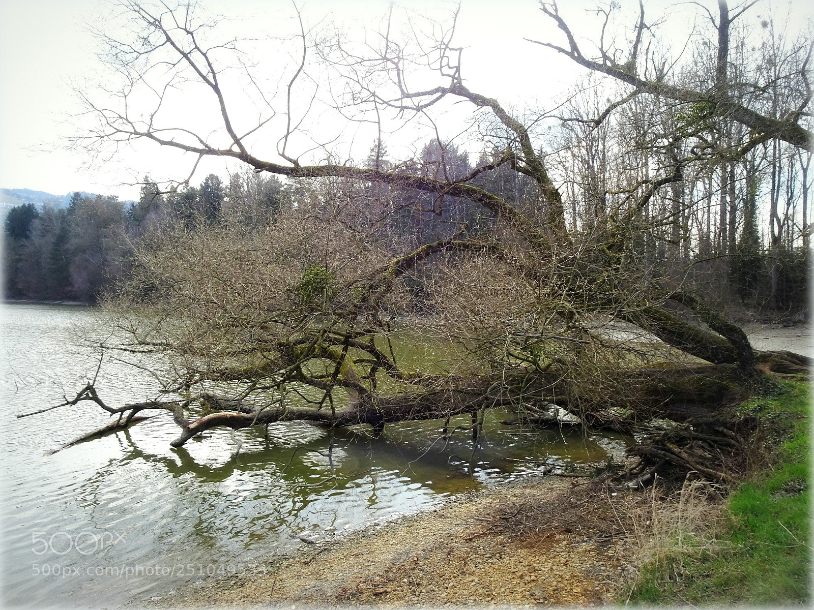 Sony Cyber-shot DSC-HX80 sample photo. "wather heals" photography