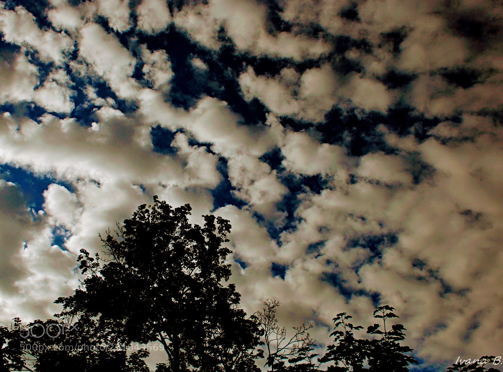 Nikon D40X sample photo. Sky photography