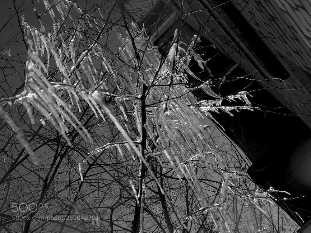 Olympus OM-D E-M5 II sample photo. Icicles iii photography