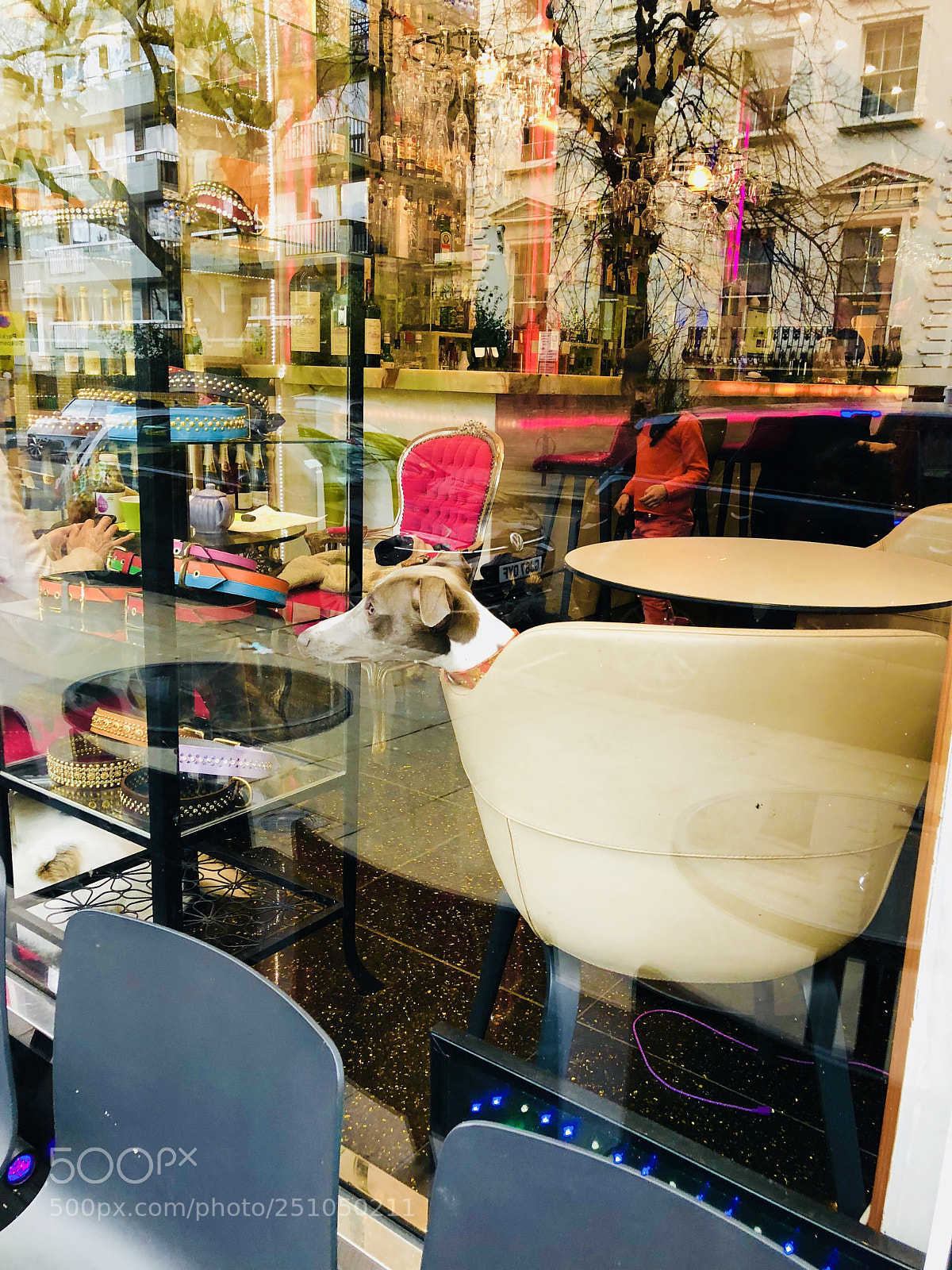 Apple iPhone X sample photo. Untitled photography