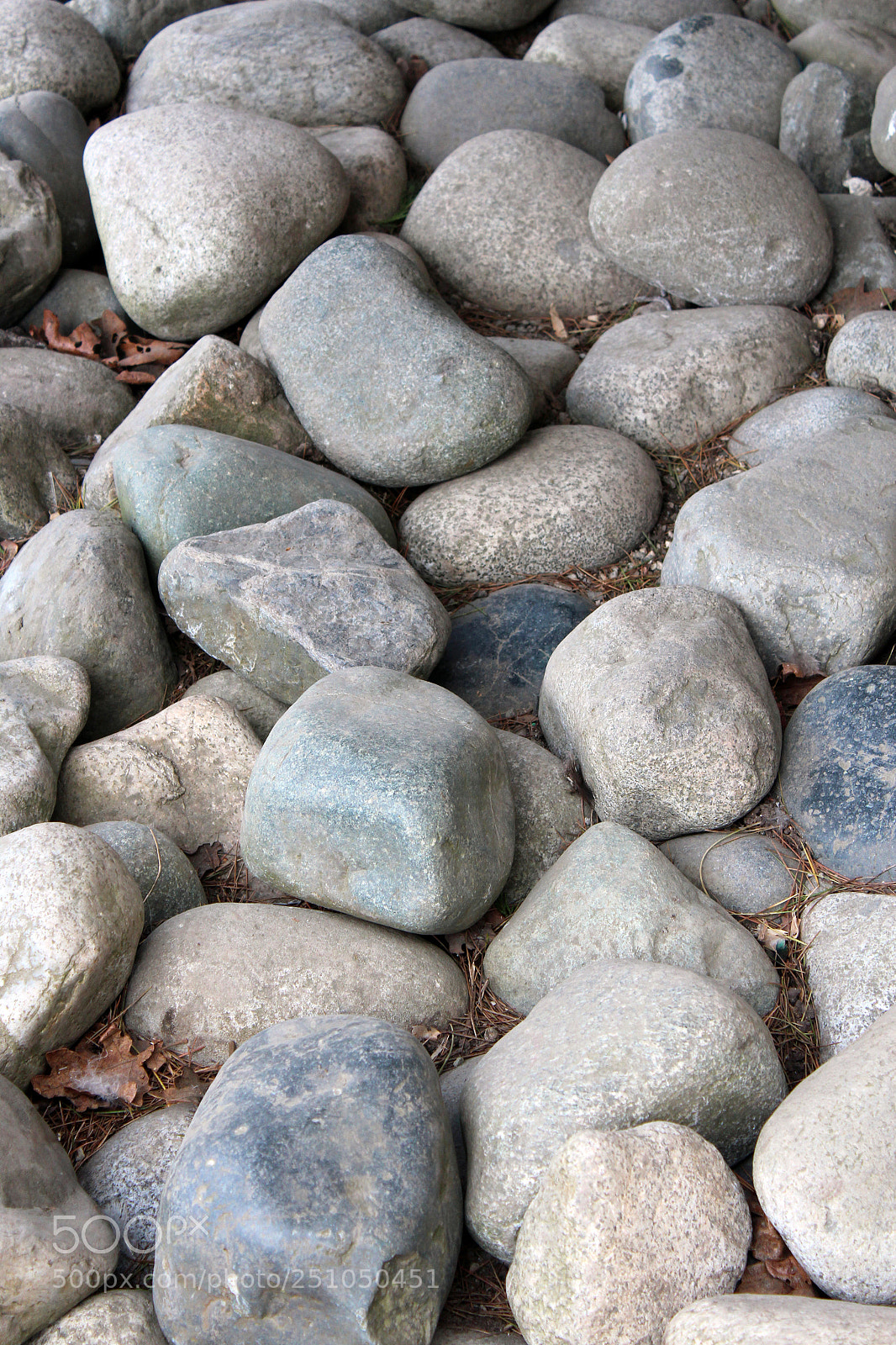 Canon EOS 600D (Rebel EOS T3i / EOS Kiss X5) sample photo. Close up of river photography