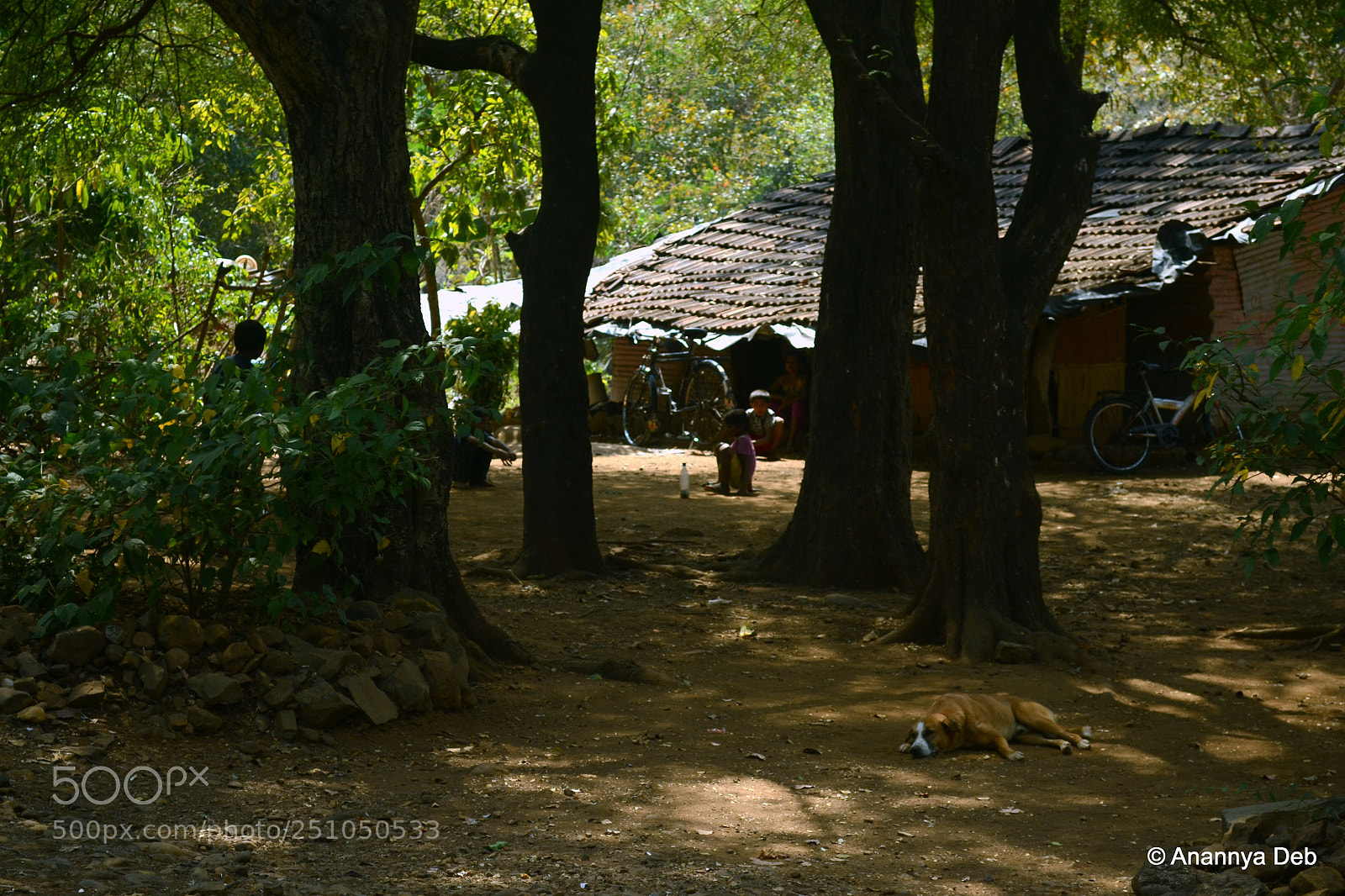 Nikon D3100 sample photo. Borivili national park, february 2014 photography