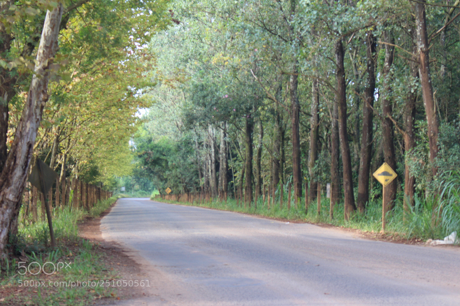 Canon EOS 700D (EOS Rebel T5i / EOS Kiss X7i) sample photo. Img photography