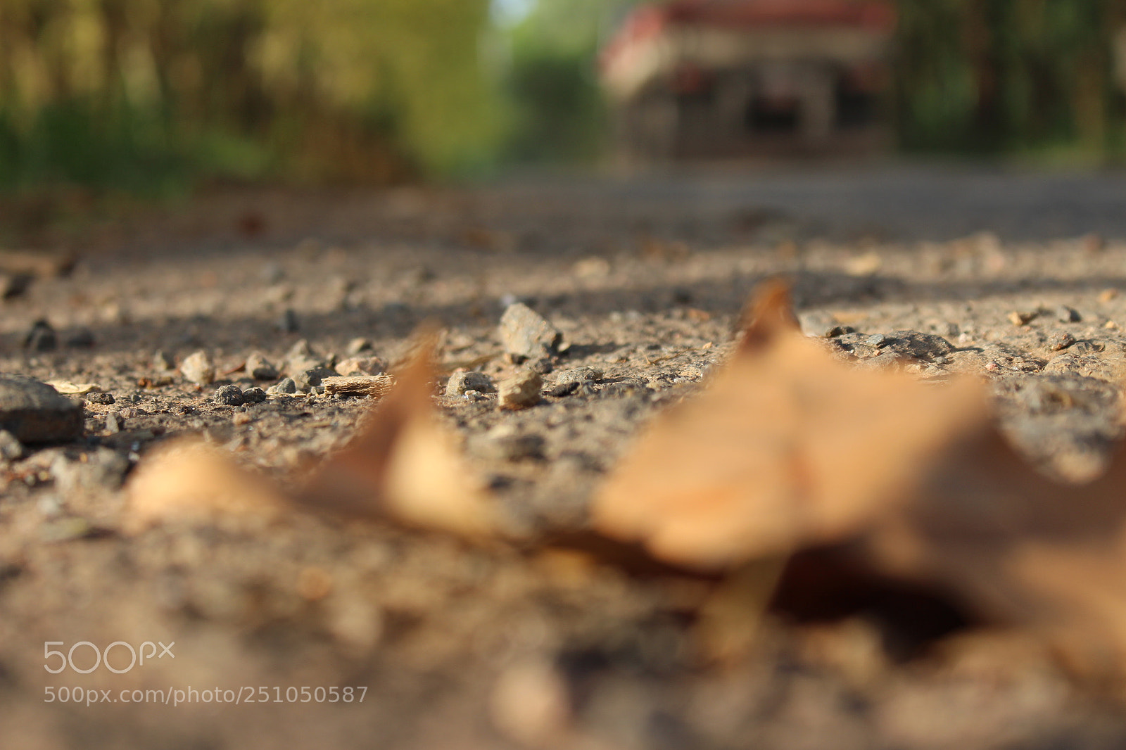 Canon EOS 700D (EOS Rebel T5i / EOS Kiss X7i) sample photo. Img photography