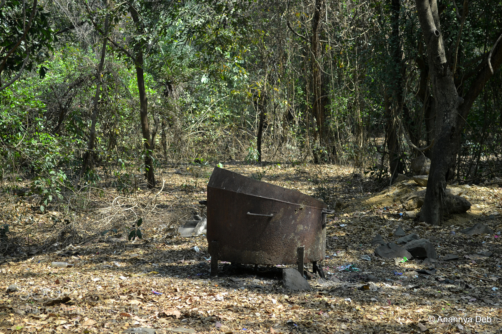 Nikon D3100 sample photo. Borivili national park, february 2014 photography