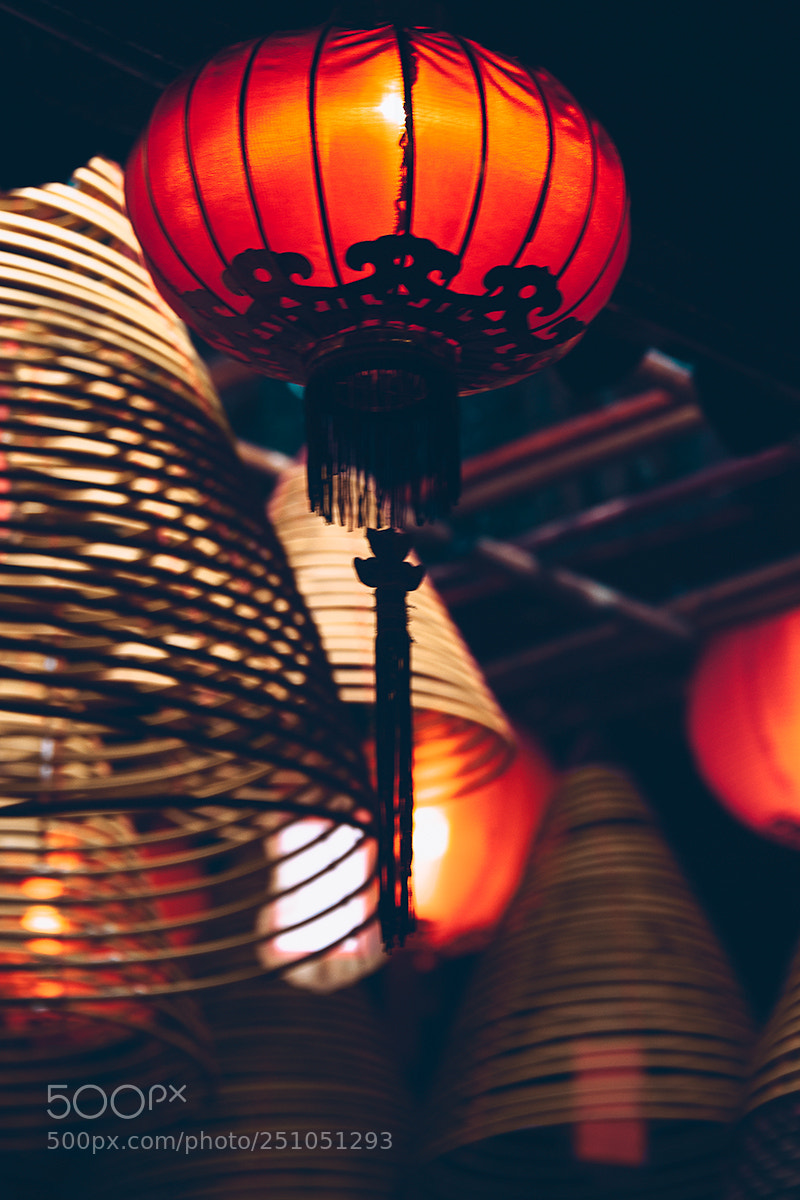 Nikon D700 sample photo. A path of light photography