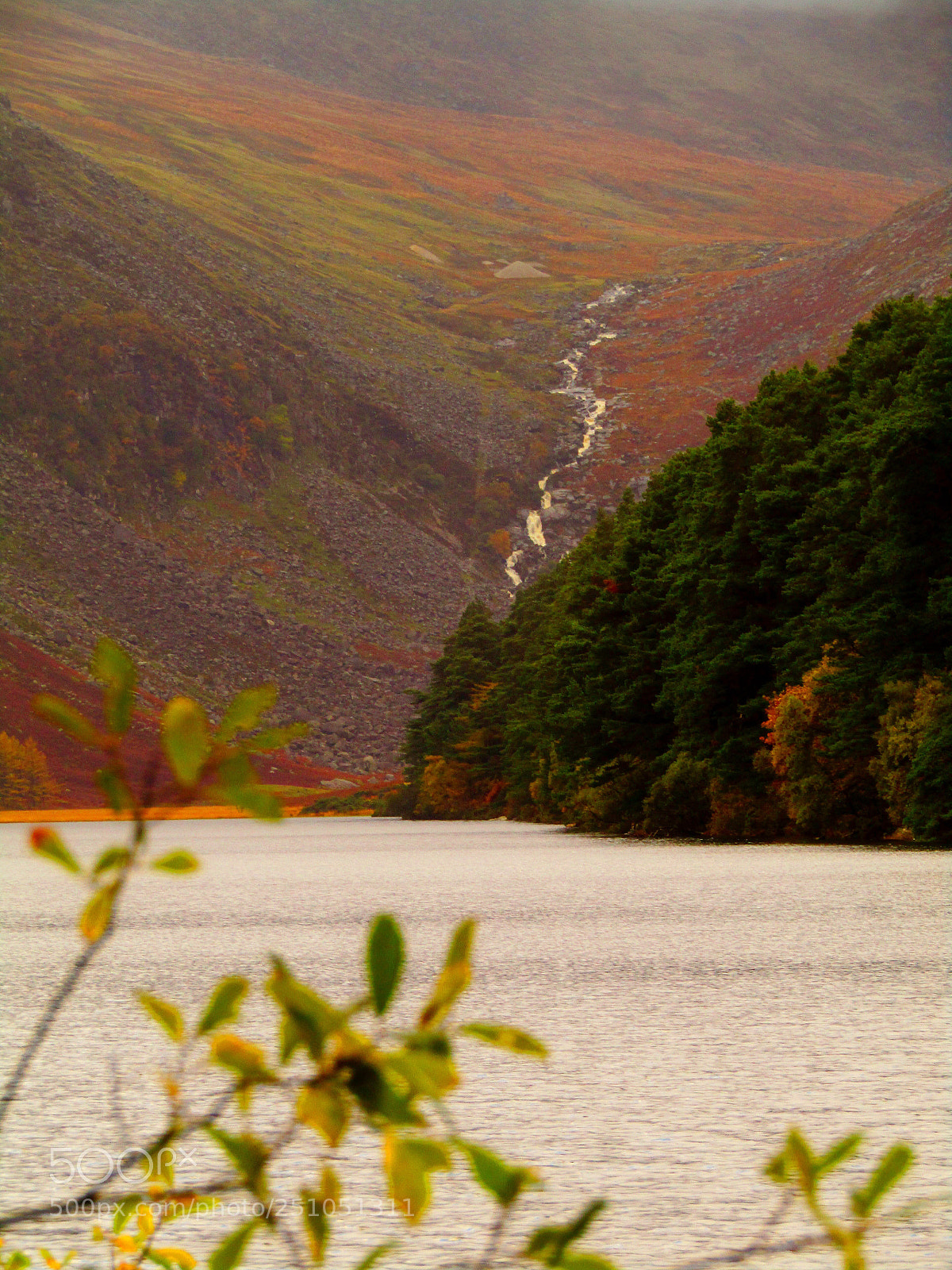 Canon PowerShot SX410 IS sample photo. The irish countryside  photography