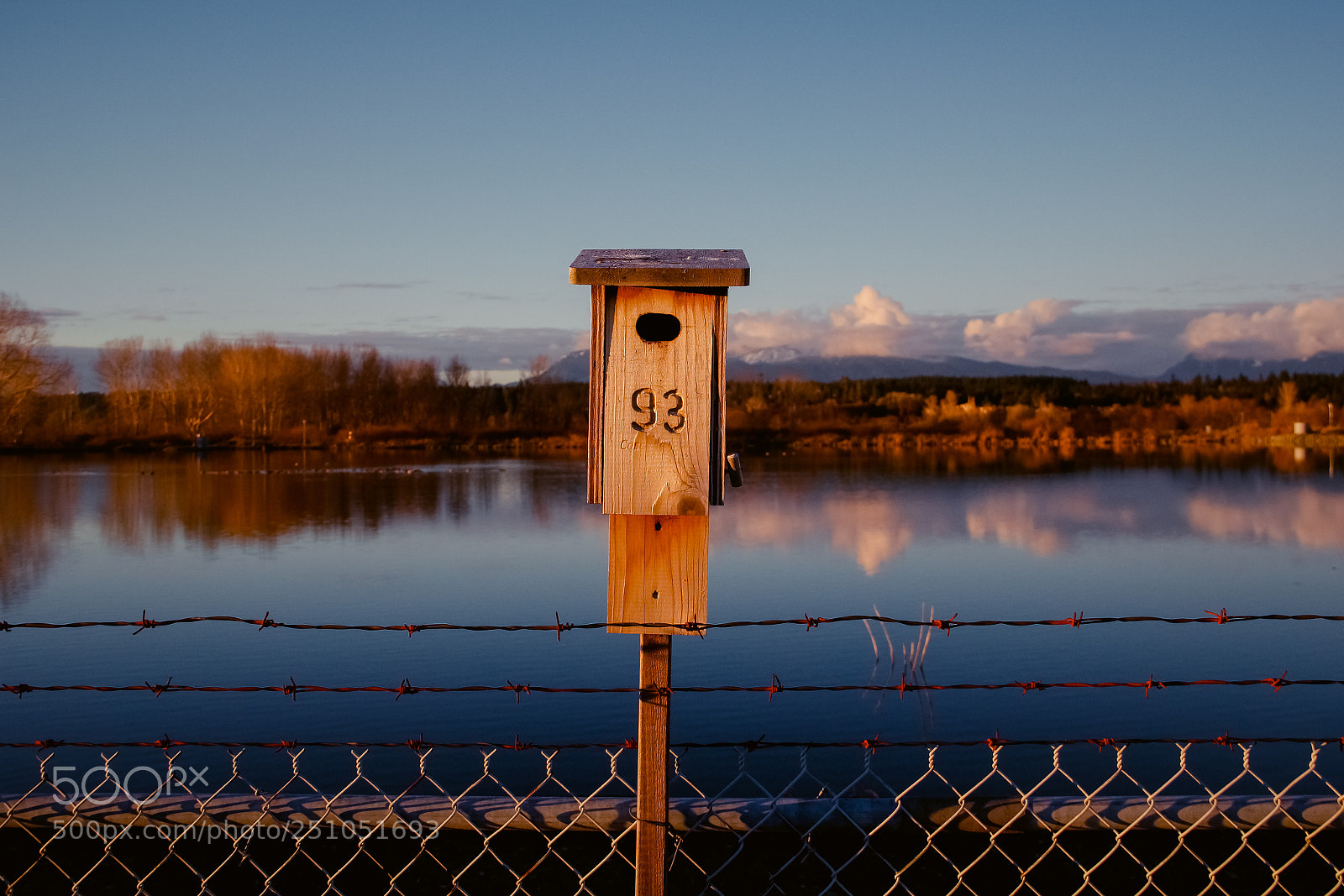 Canon EOS 60D sample photo. Wild photography