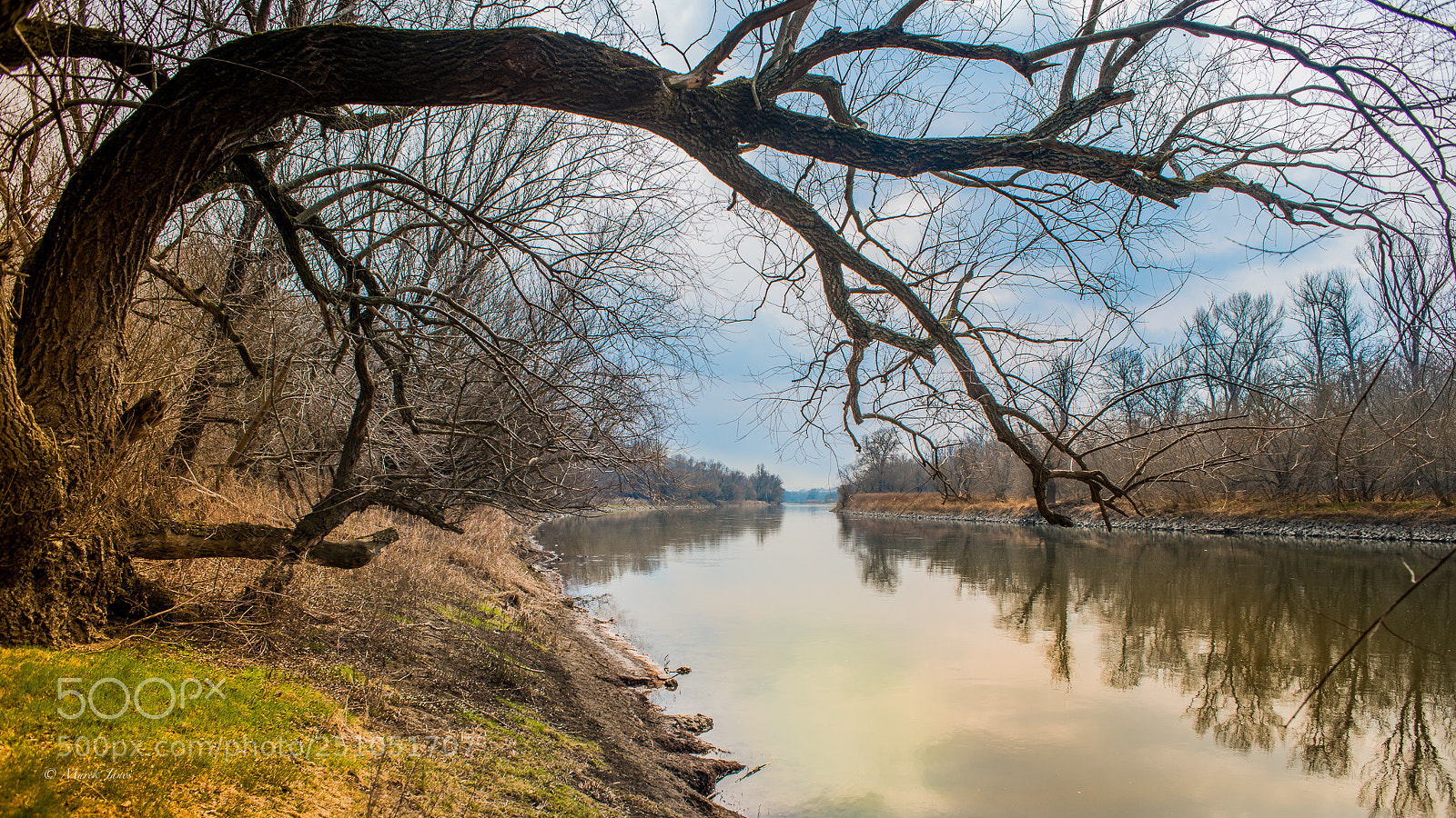 Nikon D800 sample photo. Down by the river photography