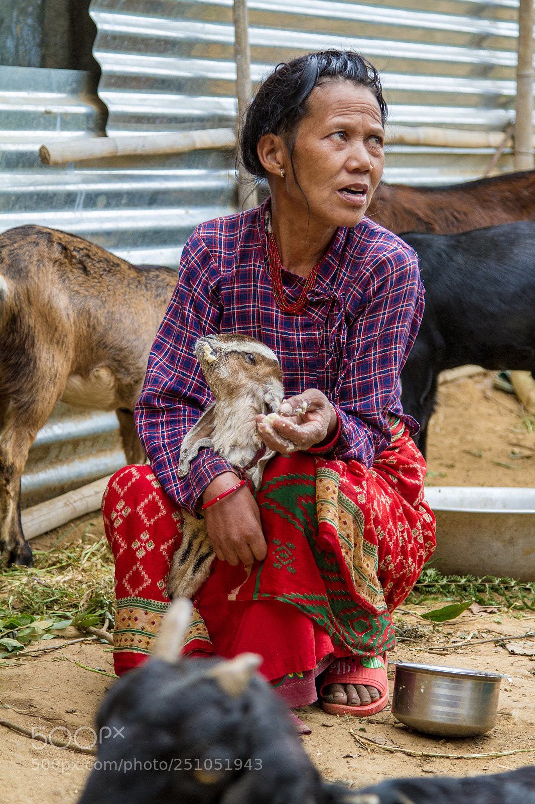 Canon EOS 7D sample photo. Woman feeding goat photography