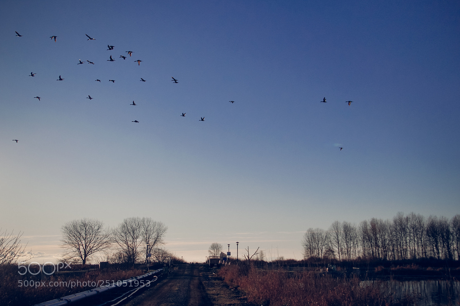Canon EOS 60D sample photo. Wild photography