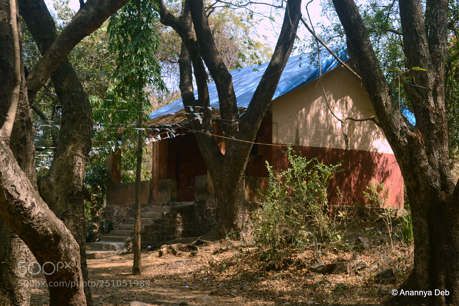 Nikon D3100 sample photo. Borivili national park, february 2014 photography