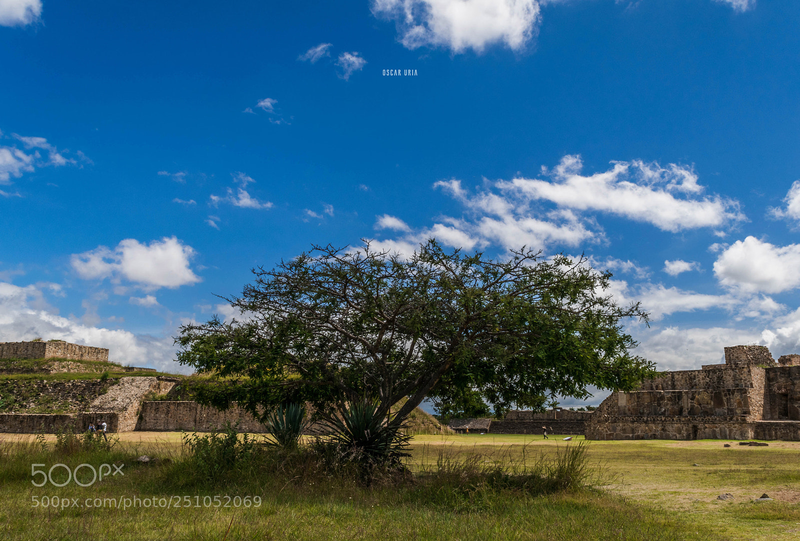 Nikon D3300 sample photo. Oaxaca photography
