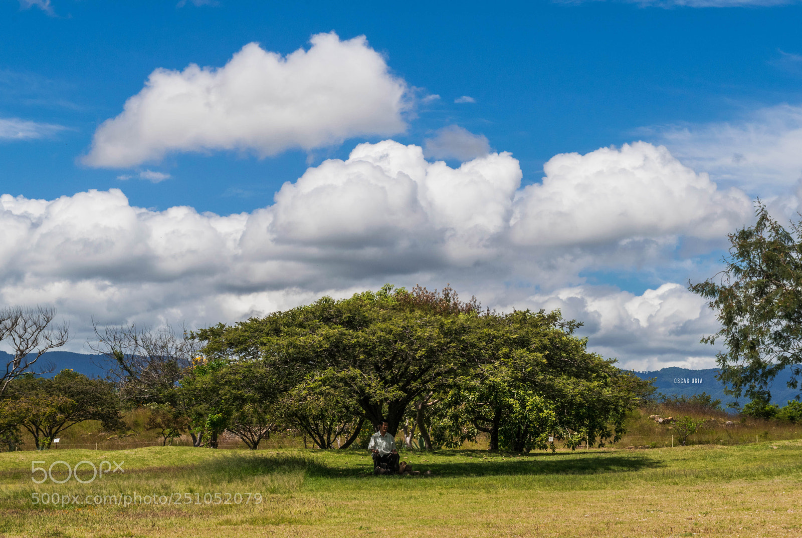 Nikon D3300 sample photo. Oaxaca photography