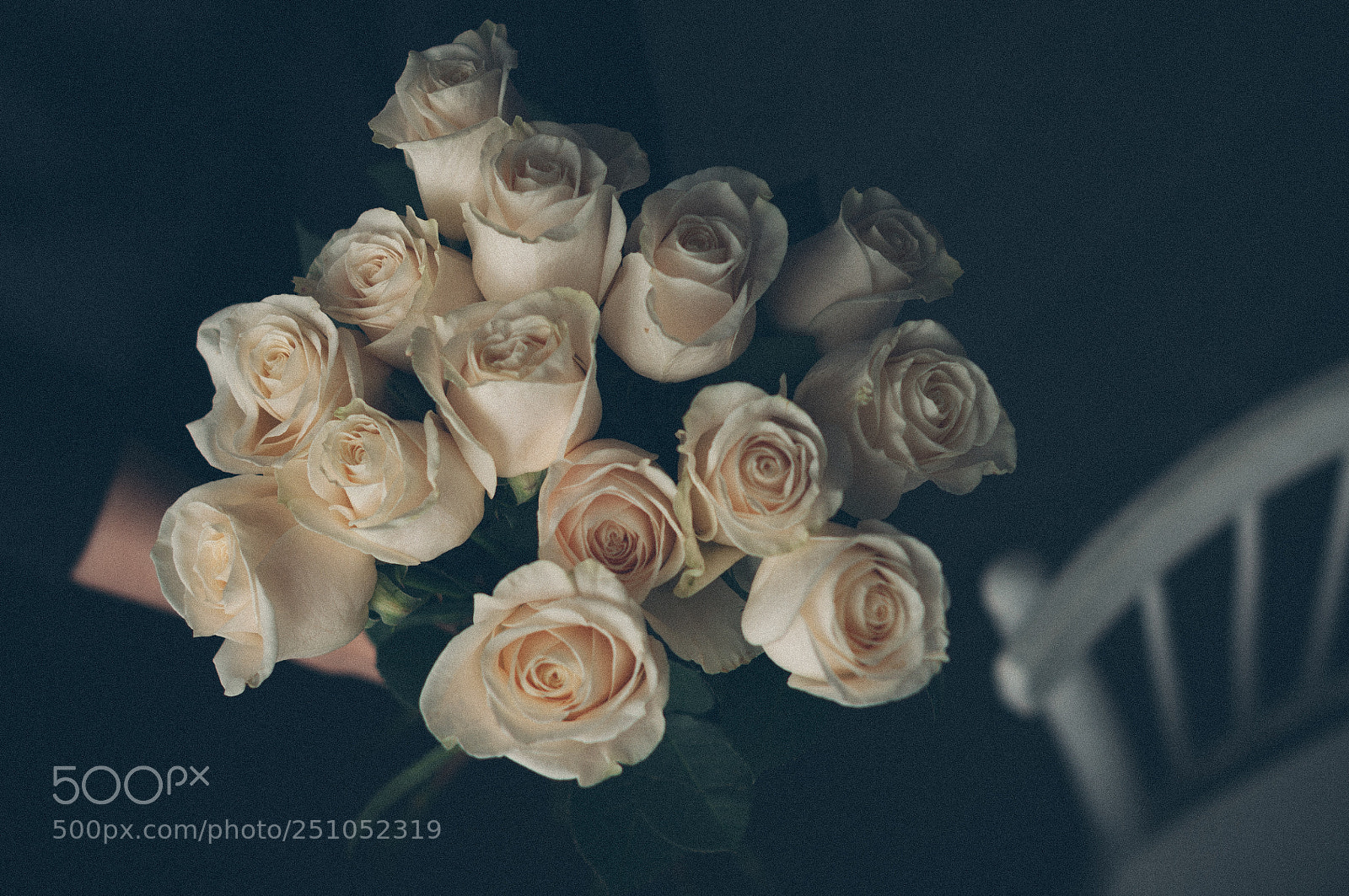 Nikon D5000 sample photo. New spring photography