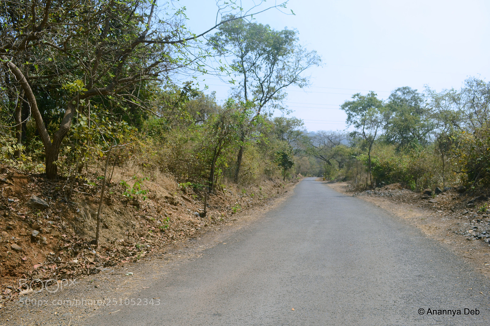 Nikon D3100 sample photo. Borivili national park, february 2014 photography