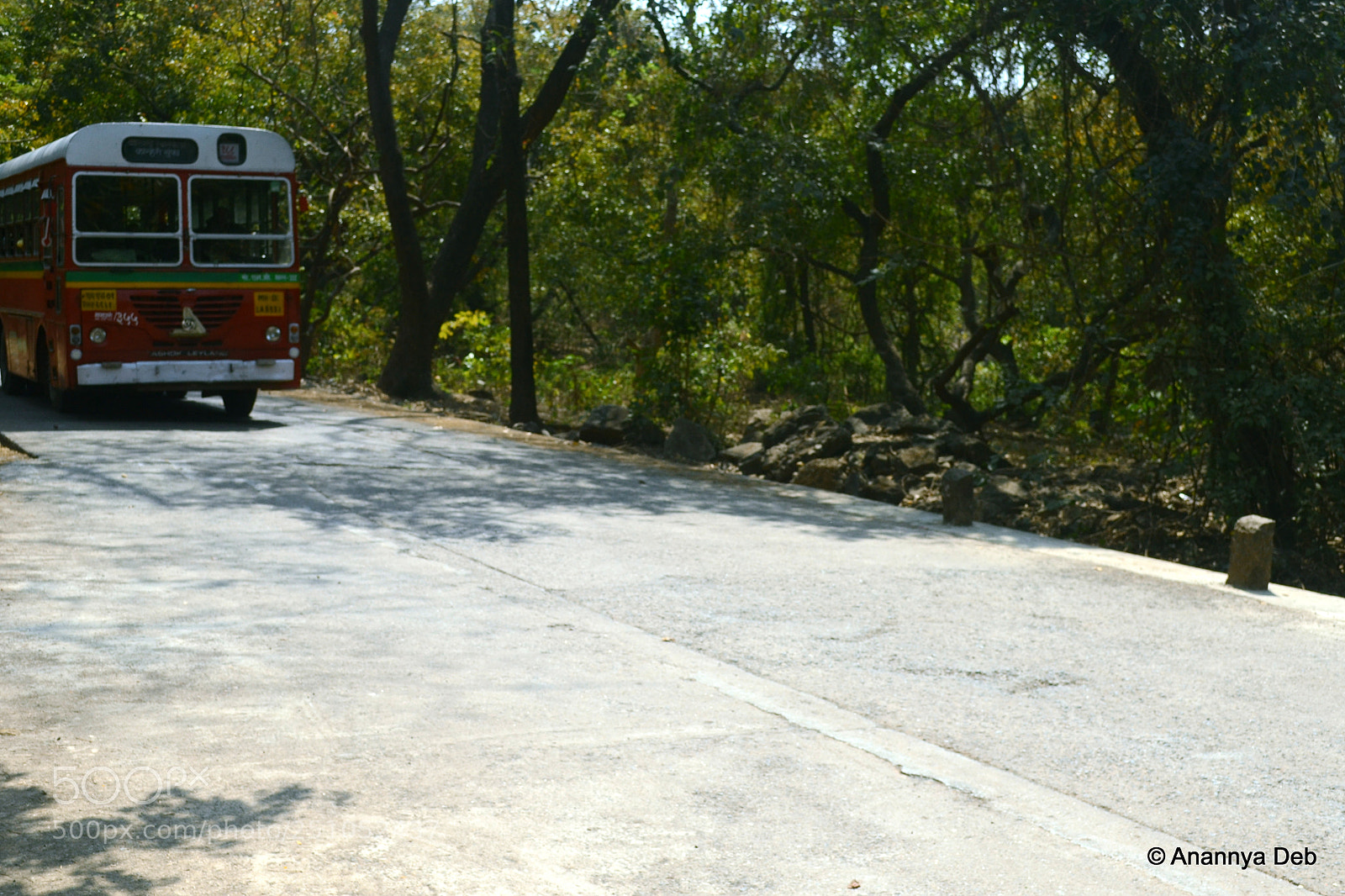 Nikon D3100 sample photo. Borivili national park, february 2014 photography