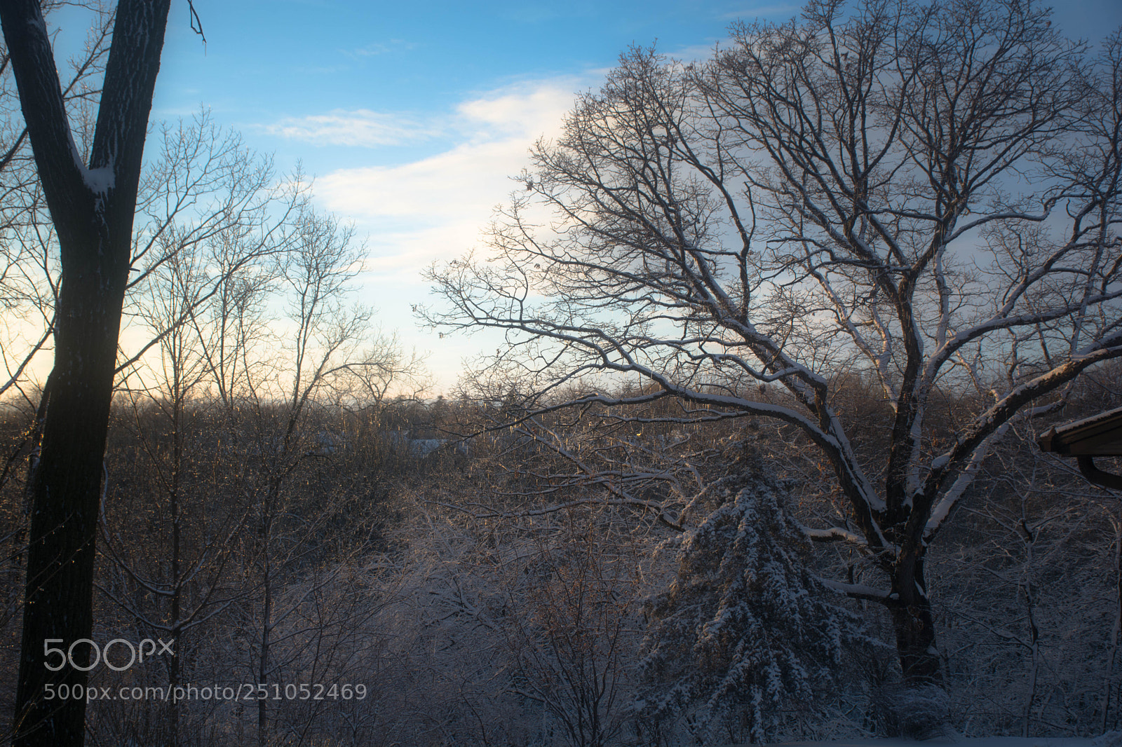 Nikon D7100 sample photo. Late winter sun photography