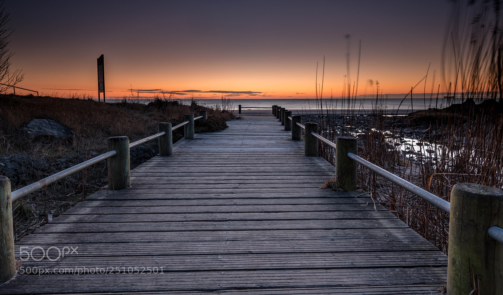 Nikon D850 sample photo. Briardene whitley bay uk photography