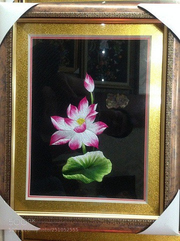 Apple iPhone 5 sample photo. Tranh th u hoa photography