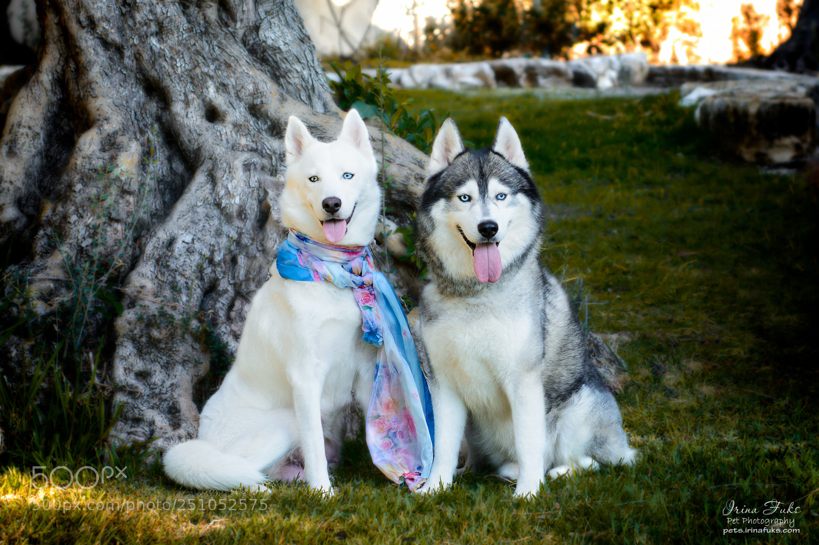 Nikon D7100 sample photo. Beautiful couple photography