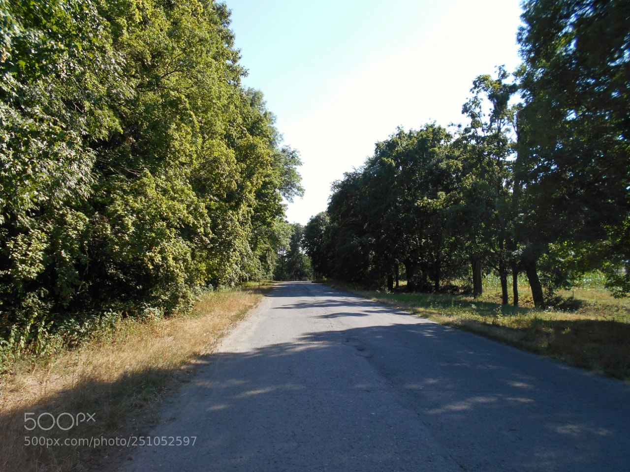 Nikon Coolpix A100 sample photo. Eaaorig photography