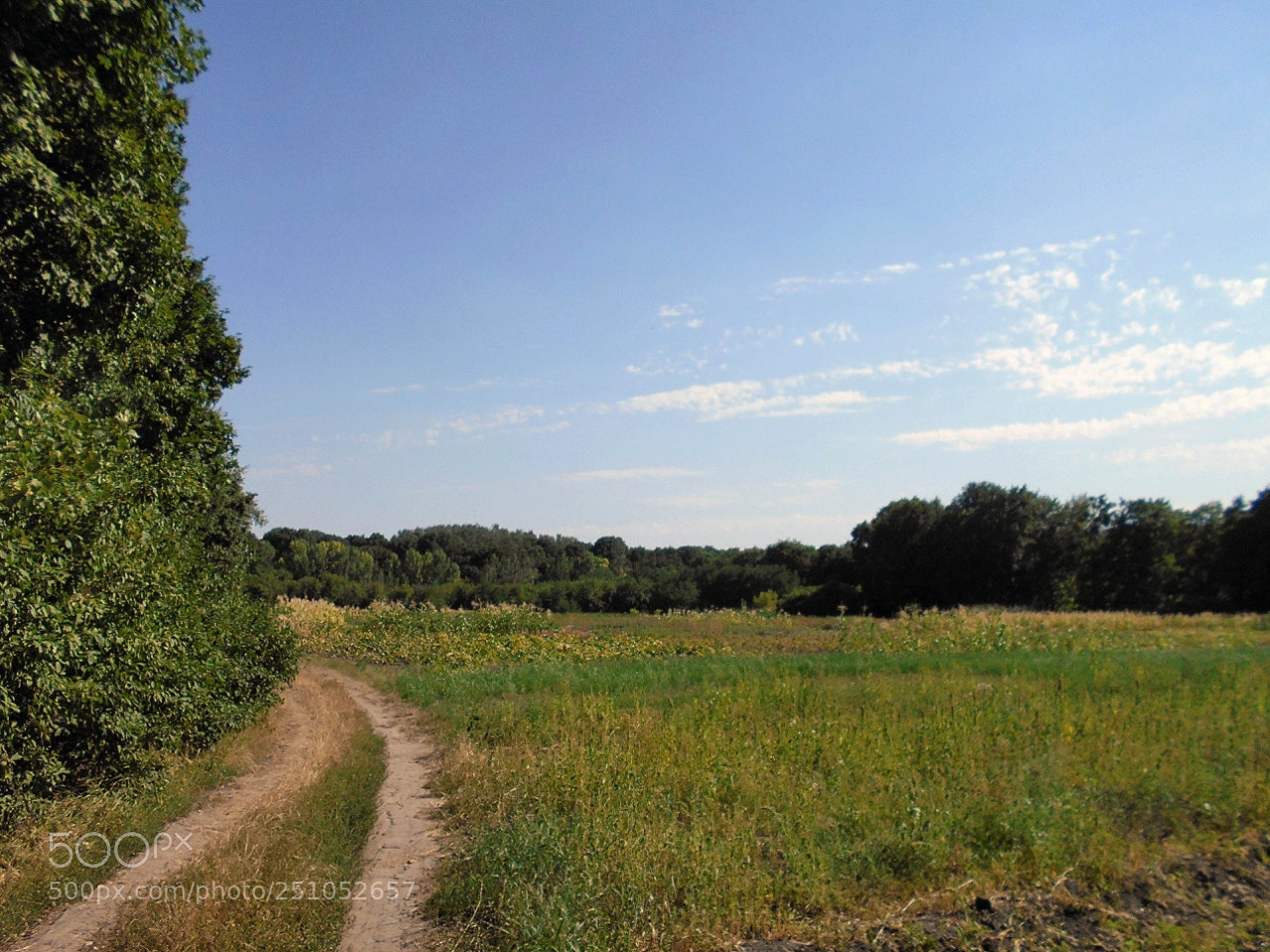 Nikon Coolpix A100 sample photo. Edorig photography