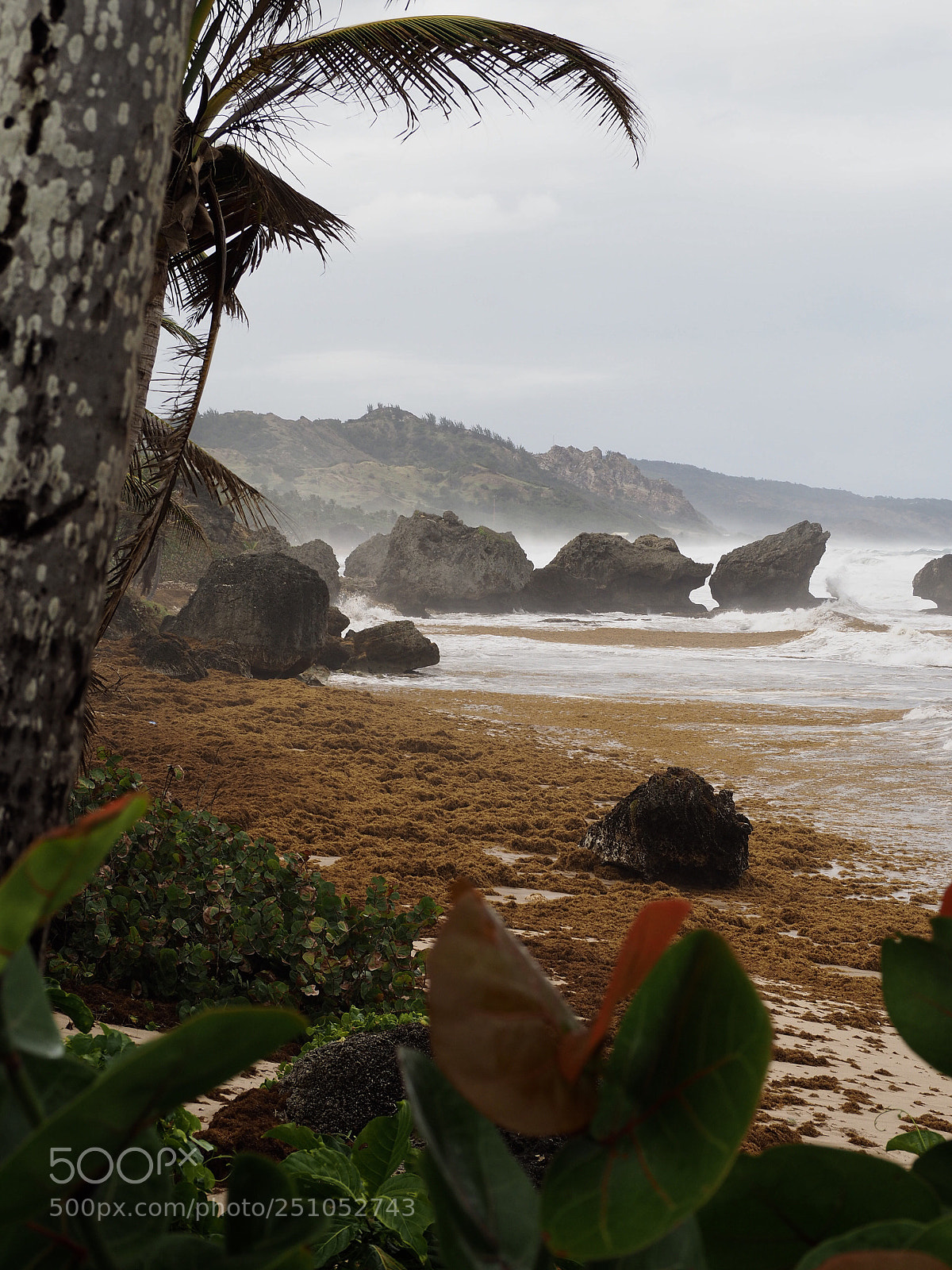 Olympus OM-D E-M10 II sample photo. Disaster at surfer s photography