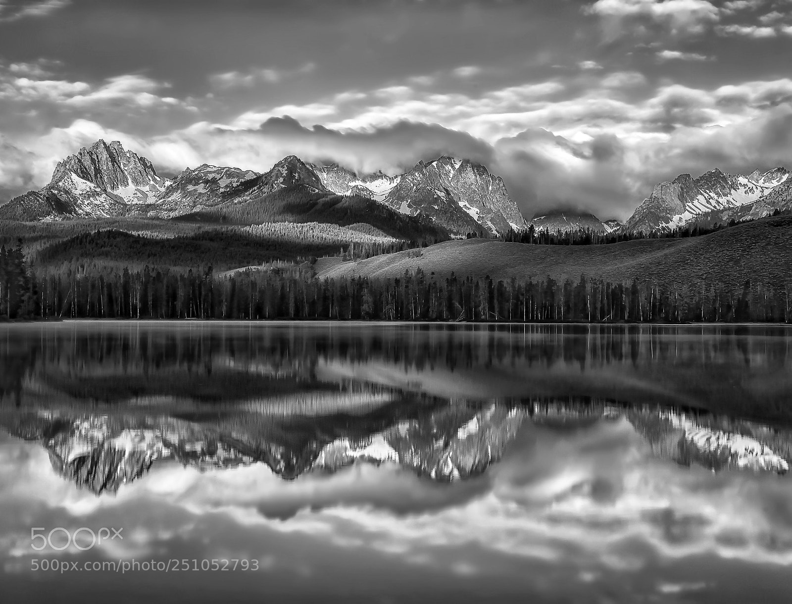Nikon D800 sample photo. Mono majesty photography