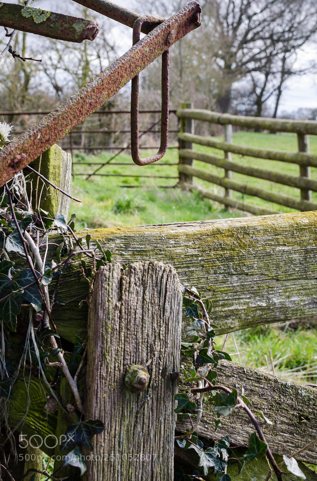 Nikon D5100 sample photo. Rotting gate and rusting photography