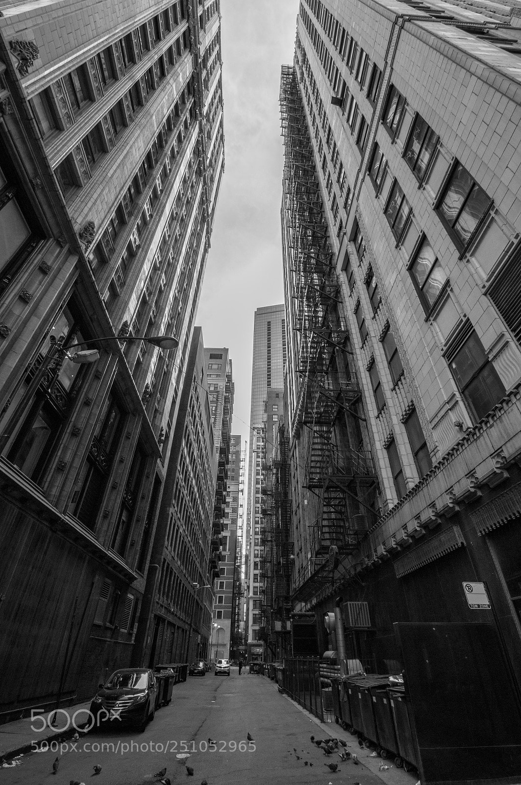 Sony SLT-A35 sample photo. Chicago concrete jungle photography