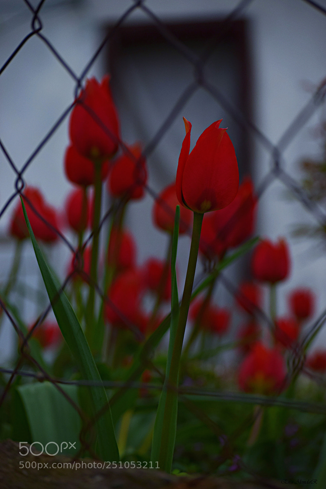 Nikon D3300 sample photo. 2.jpg photography
