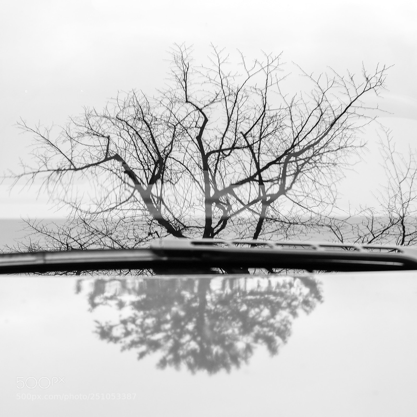 Fujifilm X-T10 sample photo. Reflections photography