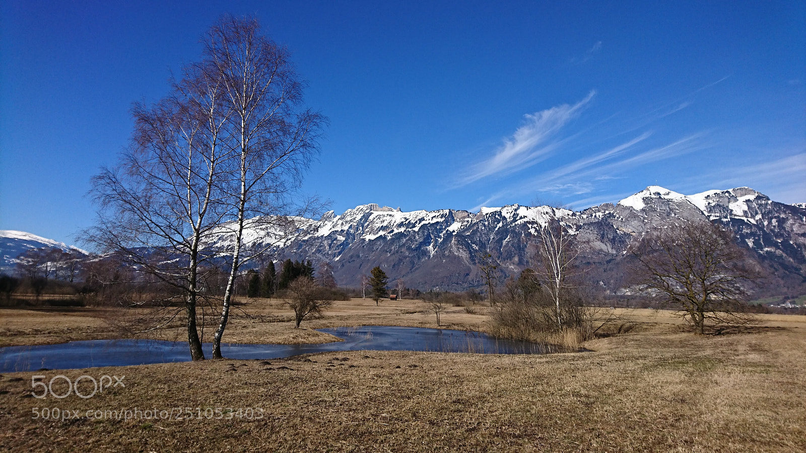 Sony Xperia XZ sample photo. Spring is coming photography
