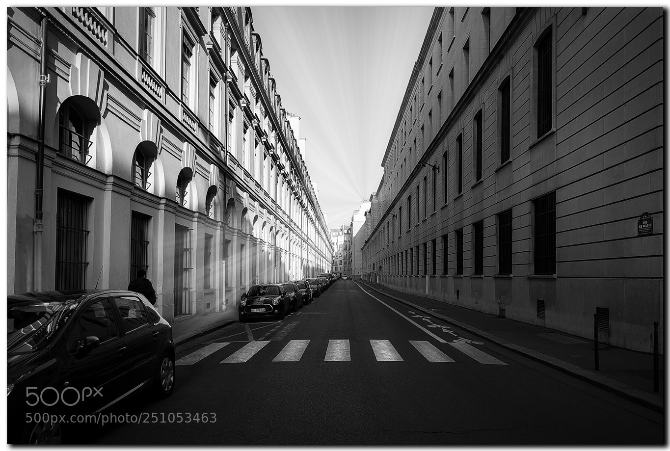 Nikon D5 sample photo. Rue de valois photography